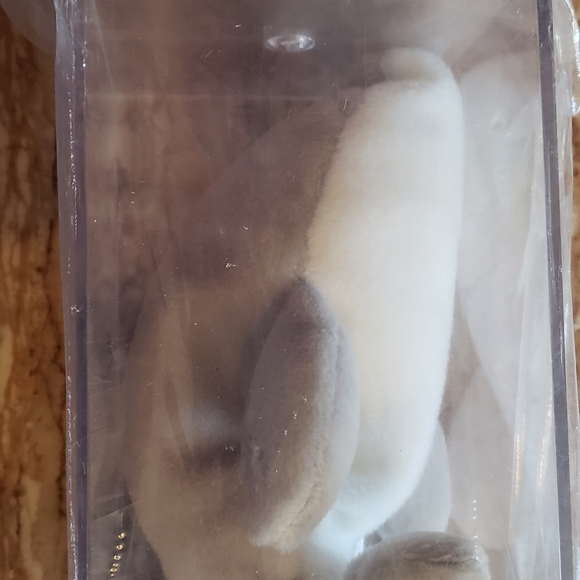 AUTHENTIC and MINT Flash Beanie Baby. Certificate of Authenticity and Acrylic ca - Picture 5 of 11